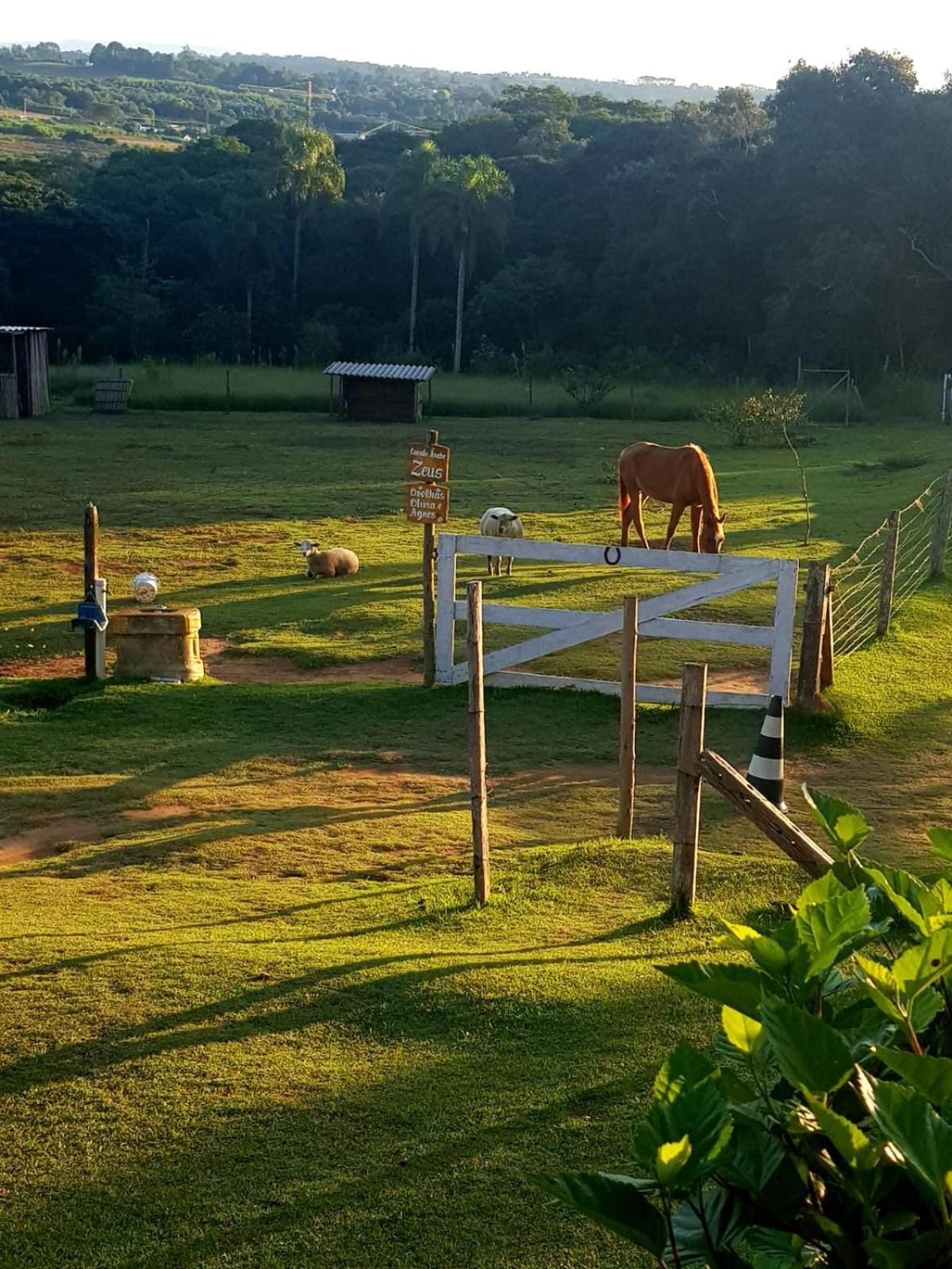 Sitio Da Terra E Arte * Sao Roque (Sao Paulo)